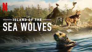 Nature & Ecology Documentaries | Netflix Official Site Nature & Ecology Documentaries | Netflix Official Site