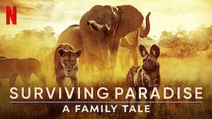 Nature & Ecology Documentaries | Netflix Official Site Nature & Ecology Documentaries | Netflix Official Site