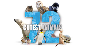 Nature & Ecology Documentaries | Netflix Official Site Nature & Ecology Documentaries | Netflix Official Site